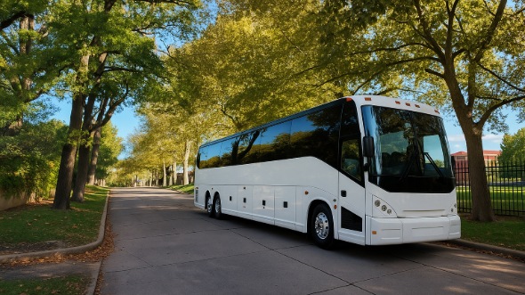 lake elsinore prom and homecoming party bus rentals